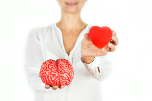 Person holding brain and stylised (typical romantic) heart