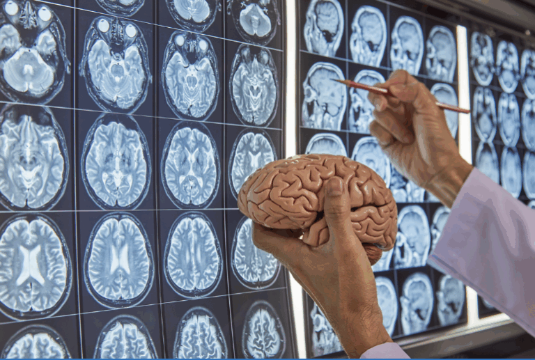 Person holding brain in one hand while pointing with a graphite pencil to an array of brain images.
